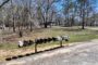 property gallery-image